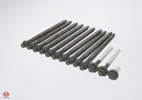 Cylinder Head Bolt - BMW F20 / F21 / F30 Series - N13 - Set