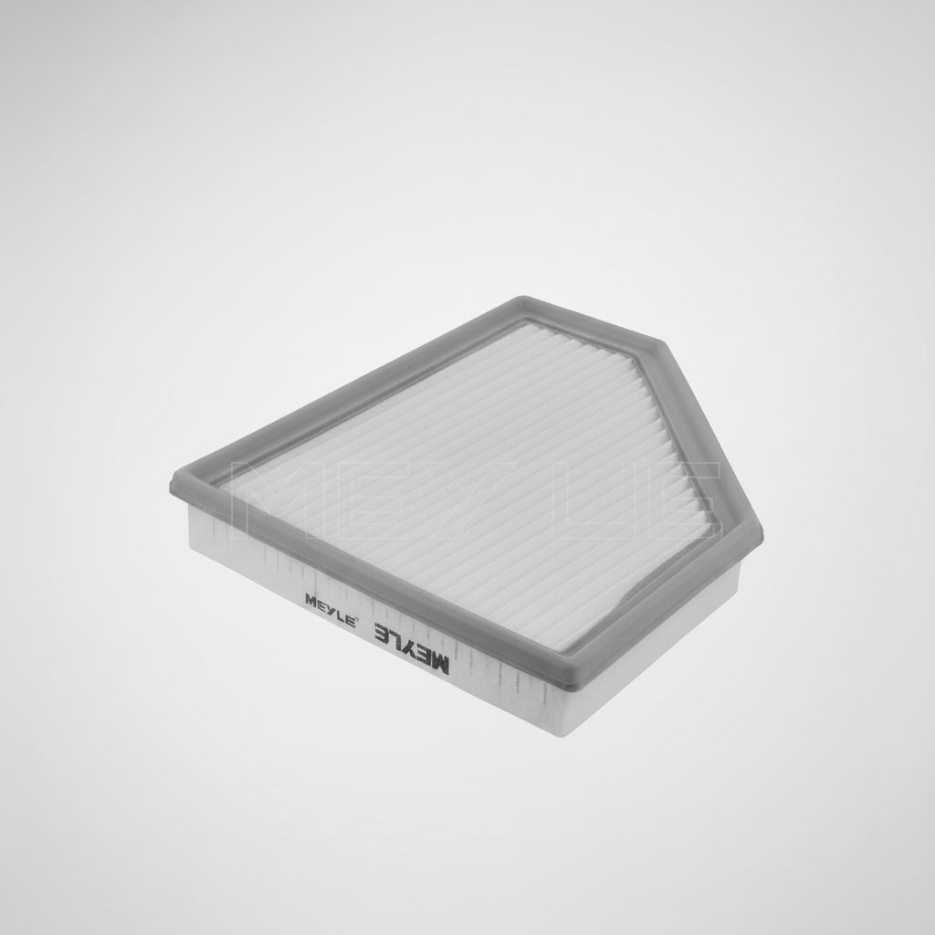 Air Filter - BMW 2 / 3 / 4 / Z4 Series - Various Models