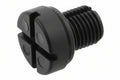 Vent Screw - BMW 1 / 3 / 5 / 7 / X3 / X5 / Z4 Series - Various Models