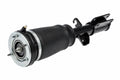 Air Spring - BMW E53 X5-Series - All Models - Front - Right