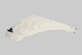Windscreen Washer Tank - BMW 2 / 3 / 4 Series - With Head Lamp Cleaning System